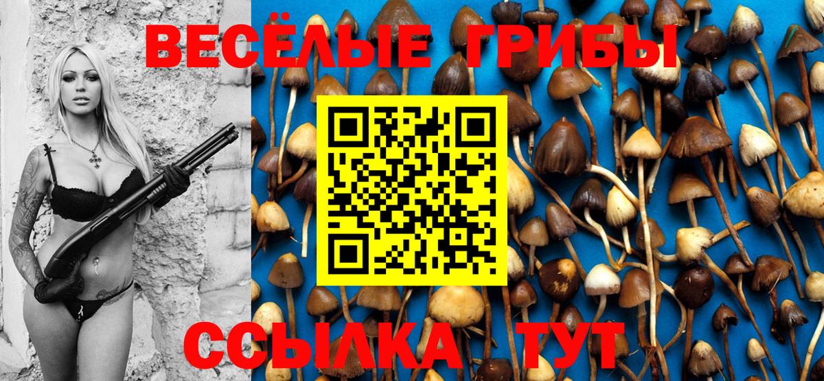 Галлюциногенные грибы MAGIC MUSHROOMS Ялуторовск